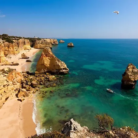 Apartman With Sunny Patio Boavista Golf &